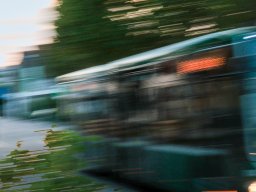 Photo Input: ICM; Thomas Wyser